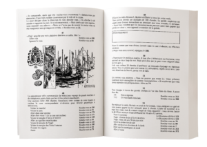 FabledLands2_layout2